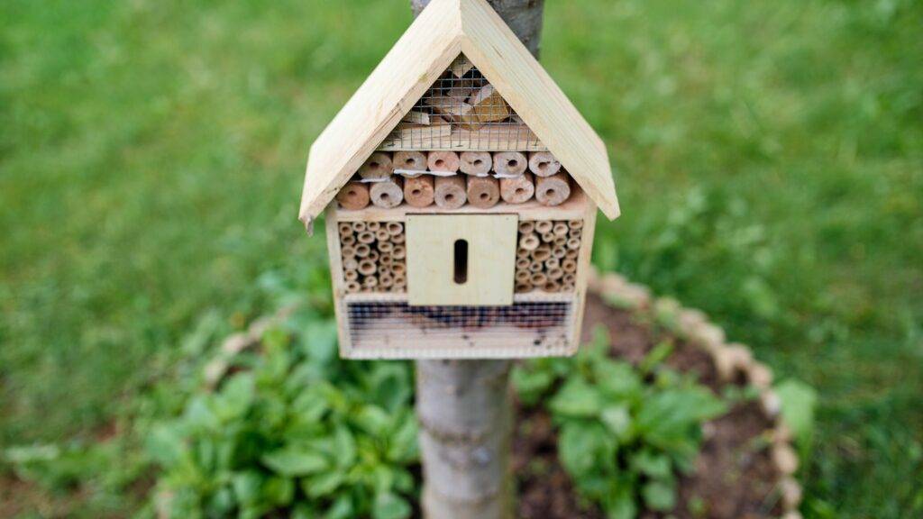 Insect hotel on tree in garden, sustainable lifestyle